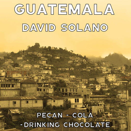 Guatemala - David Solano - Double Ferment Washed