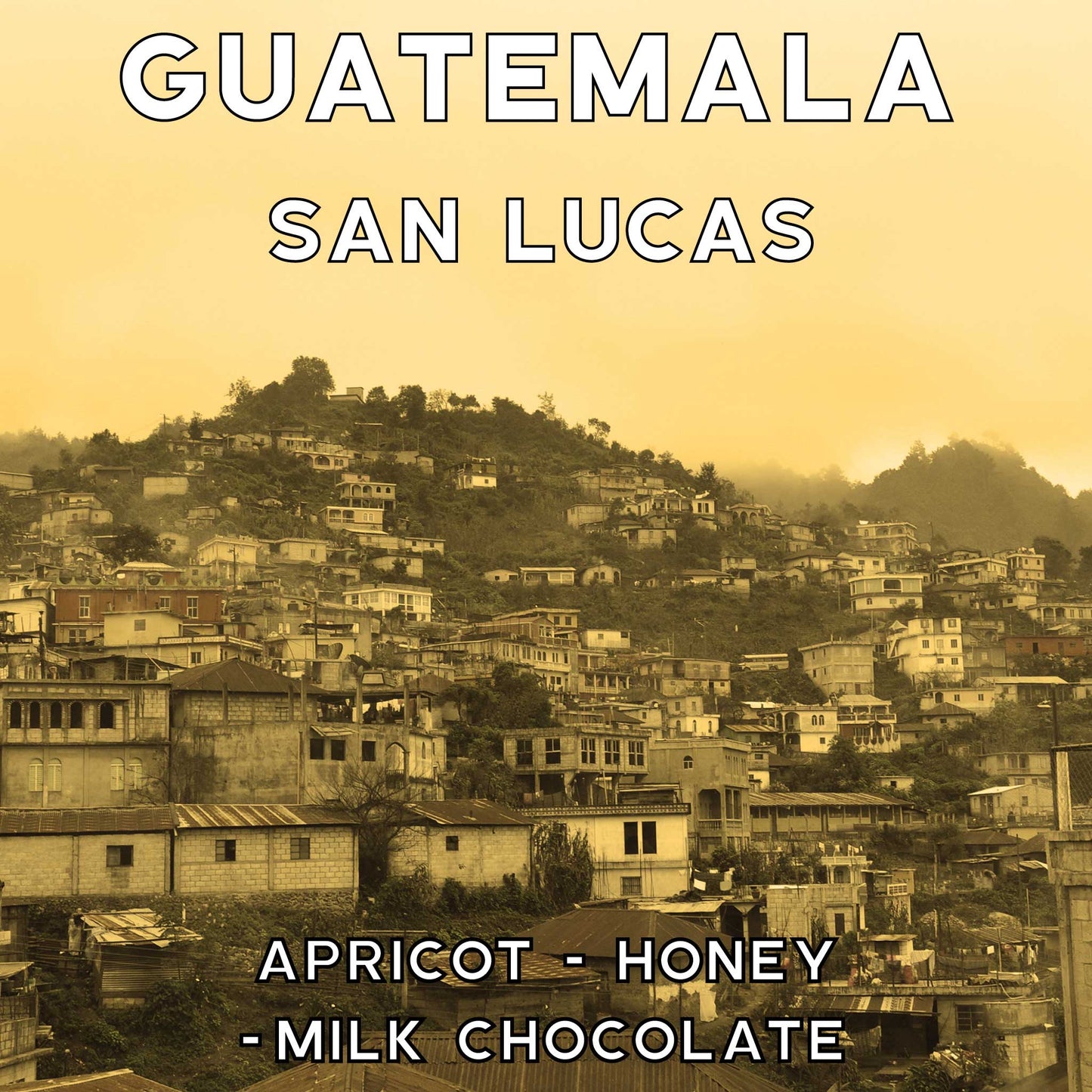 Guatemala - San Lucas - Honey