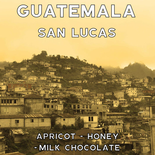 Guatemala - San Lucas - Honey